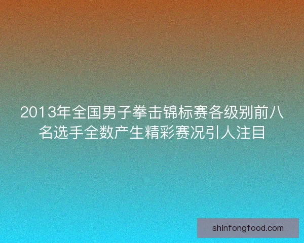 2013年全国男子拳击锦标赛各级别前八名选手全数产生精彩赛况引人注目