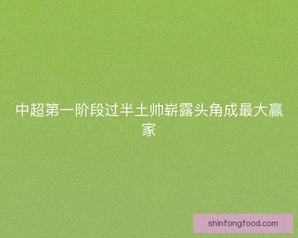 中超第一阶段过半土帅崭露头角成最大赢家 中超第一阶段过半土帅崭露头角成最大赢家