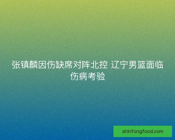 张镇麟因伤缺席对阵北控 辽宁男篮面临伤病考验