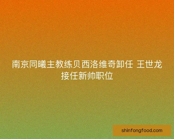 南京同曦主教练贝西洛维奇卸任 王世龙接任新帅职位 南京同曦主教练贝西洛维奇卸任 王世龙接任新帅职位